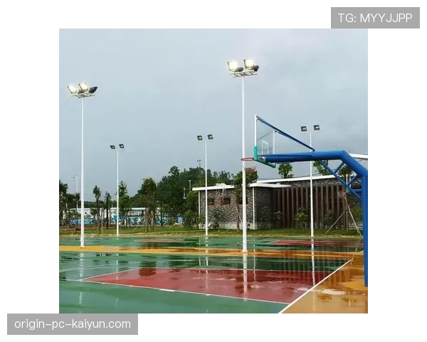 球场夜间灯光污染投诉的统计与整改台账，球场灯光的申请报告